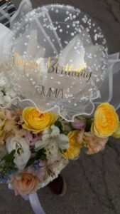 קופסת אופיר