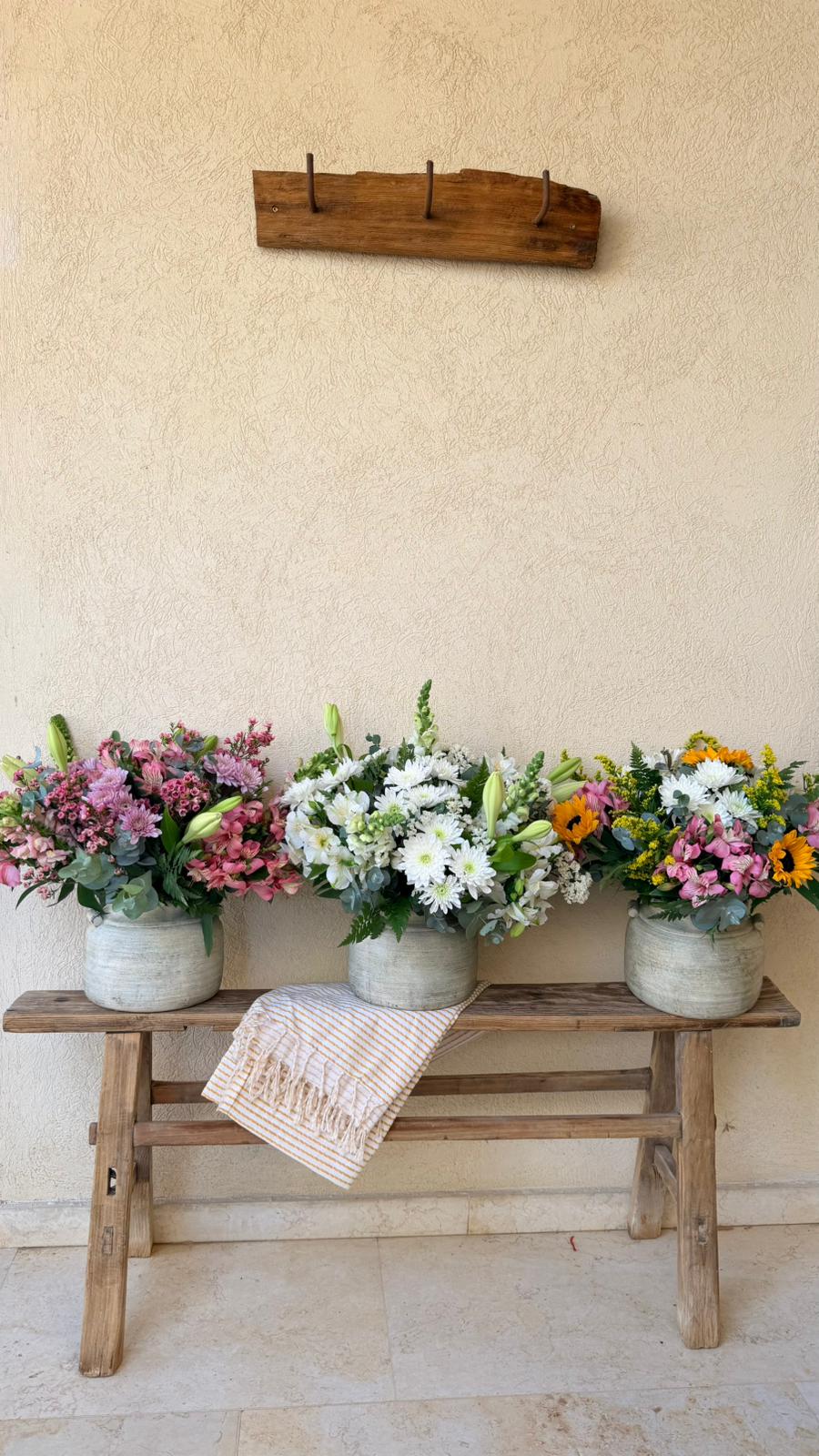 סידור פסח בכלי